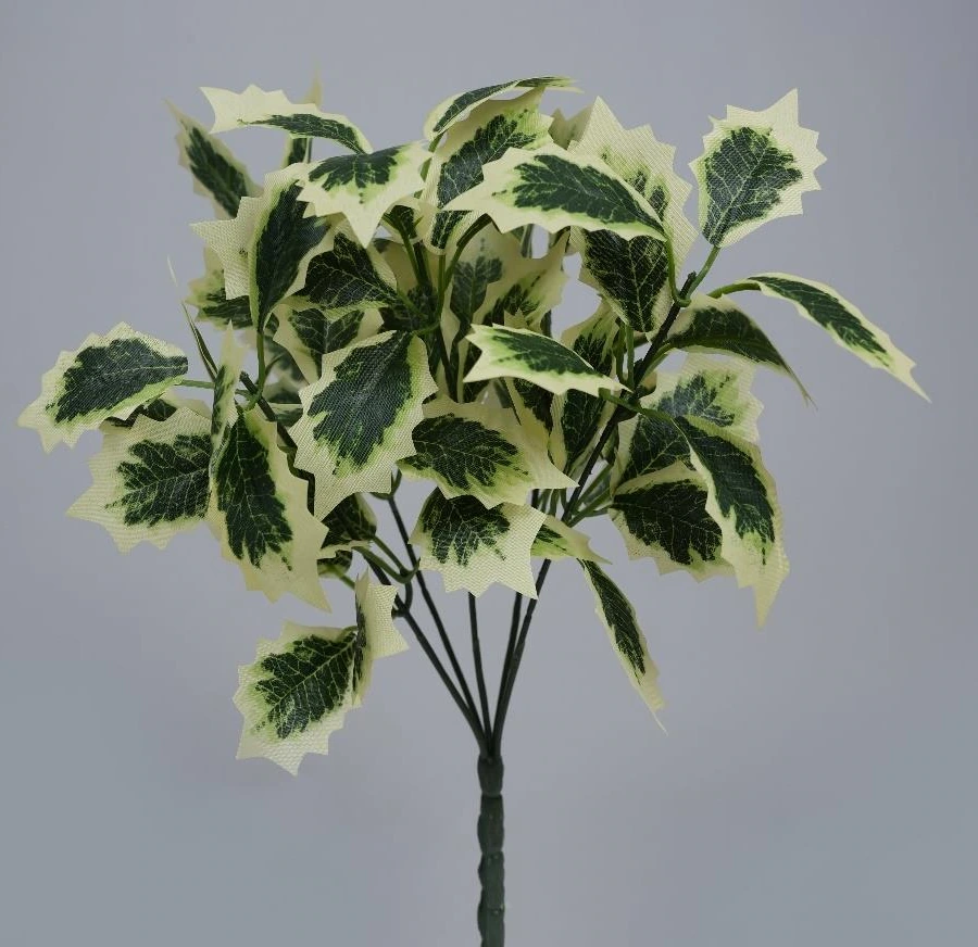 Ficus Christmas Leaf Bunch x5 23Lvs